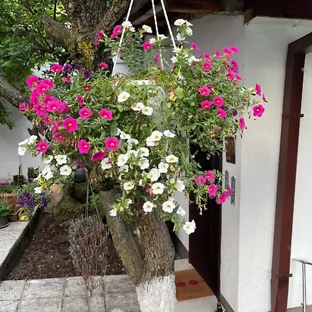Music, Garden And Free Parking Apartment *