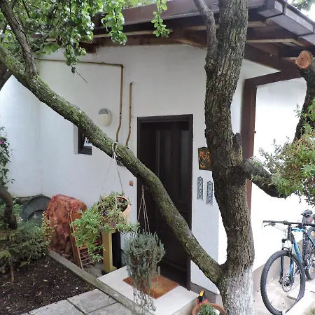 Music, Garden And Free Parking